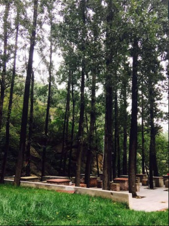 Imagen de los exteriores del Hotel Beijing 123 Holiday. Foto 11