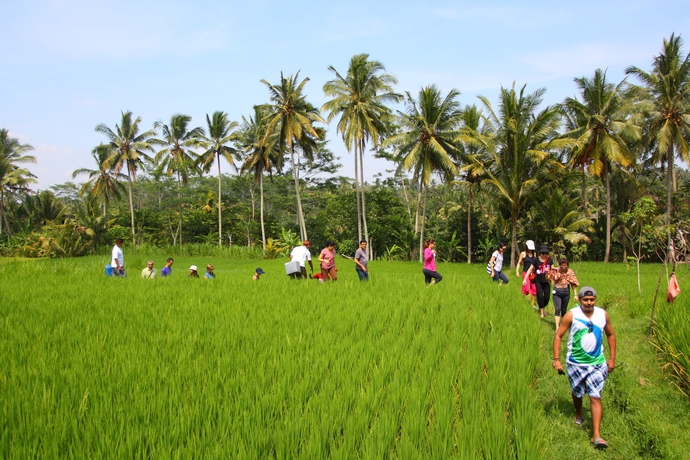 Imagen de los exteriores del Hotel Beingsattvaa Luxury Ubud. Foto 3