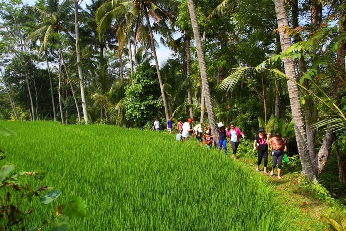 Imagen general del Hotel Beingsattvaa Luxury Ubud. Foto 2