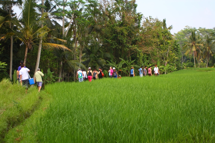 Imagen de los exteriores del Hotel Beingsattvaa Luxury Ubud. Foto 6