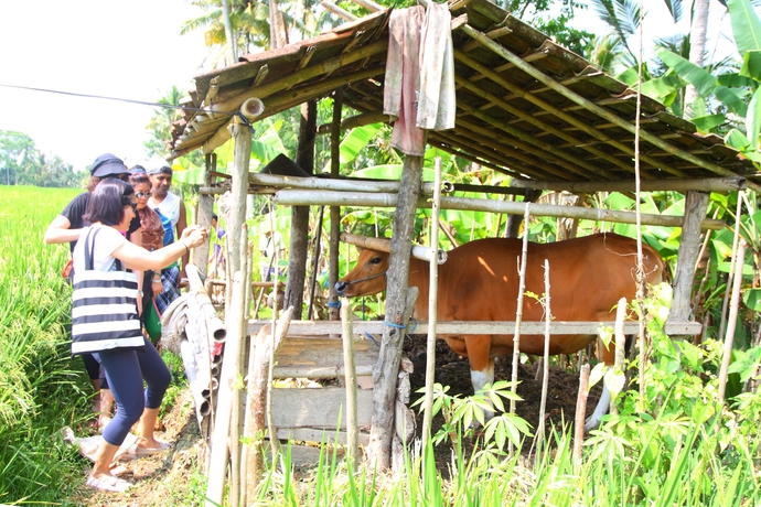 Imagen de los exteriores del Hotel Beingsattvaa Luxury Ubud. Foto 7