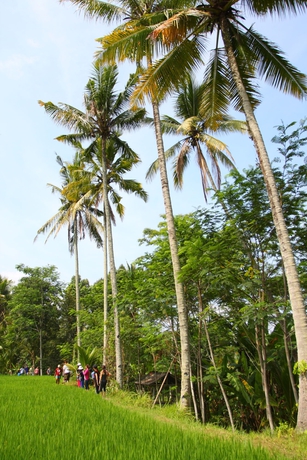 Imagen de los exteriores del Hotel Beingsattvaa Luxury Ubud. Foto 8