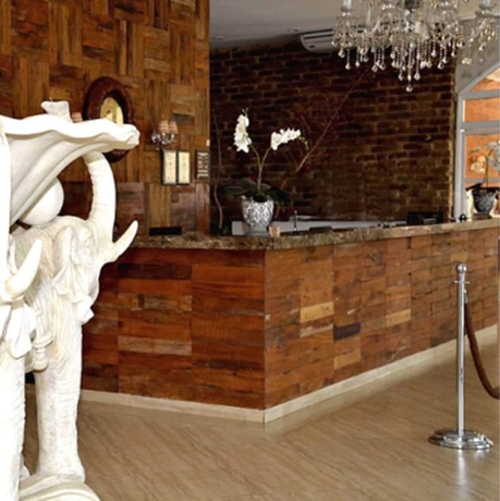 Imagen de los interiores del Hotel Beira Rio Palace. Foto 13