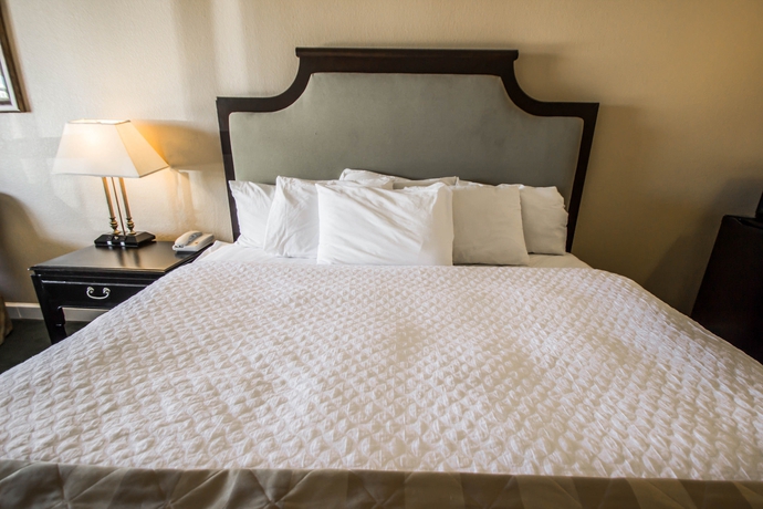 Imagen de la habitación del Hotel Bel-air Orlando. Foto 2