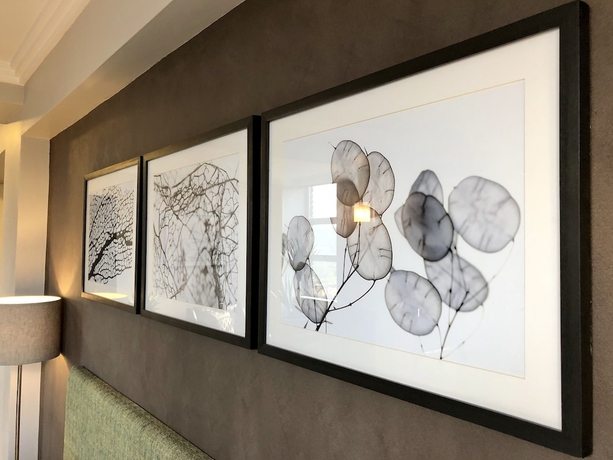 Imagen de la habitación del Hotel Belaire Suites. Foto 8