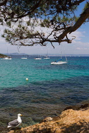Imagen de los interiores del Hotel Belambra Clubs Presqu'&icirc;le De Giens - Riviera Beach Club. Foto 14