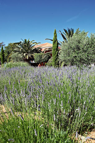 Imagen de los interiores del Hotel Belambra Clubs Presqu'&icirc;le De Giens - Riviera Beach Club. Foto 15