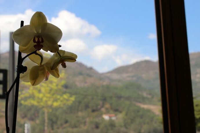 Imagen general del Hotel Beleza Serra Guide, Terras de Bouro. Foto 3