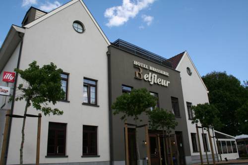 Imagen de la habitación del Hotel Belfleur. Foto 2