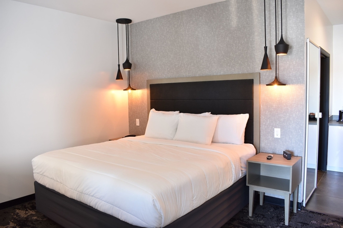 Imagen de la habitación del Hotel Bella, Houston. Foto 7