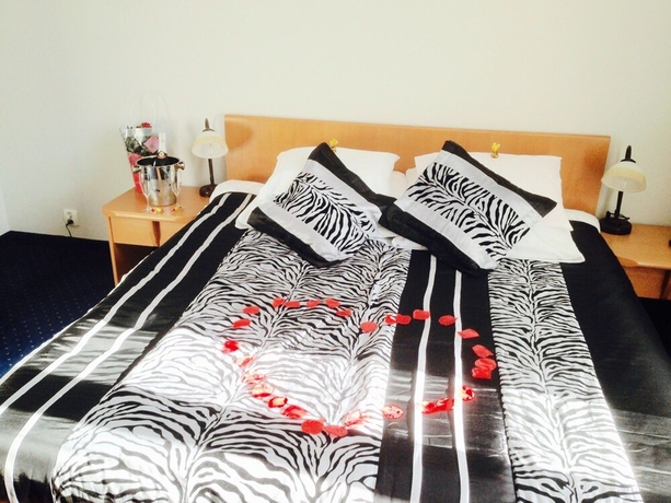 Imagen de la habitación del Hotel Bella, JELENIA G&Oacute;RA. Foto 14