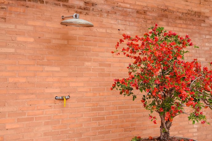 Imagen de la piscina del Hotel Bella Villa Vitta. Foto 17