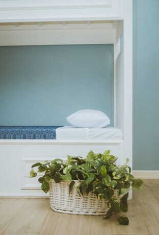 Imagen de la habitación del Hotel Bella Vista Resort. Foto 37