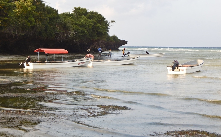 Imagen general del Hotel Bella Vista Resort Zanzibar. Foto 3