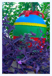 Imagen general del Hotel Bella Vista Stegna. Foto 19