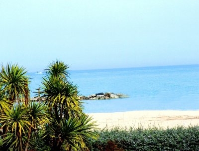 Imagen general del Hotel Bellariva, PESCARA. Foto 5