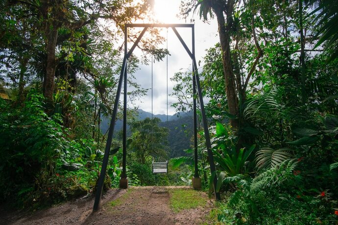 Imagen general del Hotel Bellavista Cloud Forest Reserve and Lodge. Foto 7