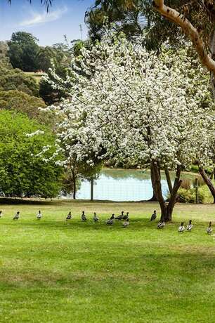 Imagen general del Hotel Bellbrae Country Club Surf Coast. Foto 10