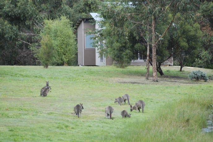 Imagen de los exteriores del Hotel Bellbrae Harvest. Foto 12