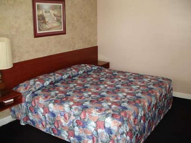 Imagen de la habitación del Hotel Belleair Village Motel. Foto 9