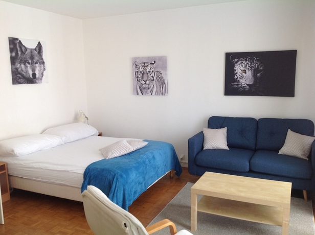 Imagen de la habitación del Hotel Bellerive, LAUSANA. Foto 7