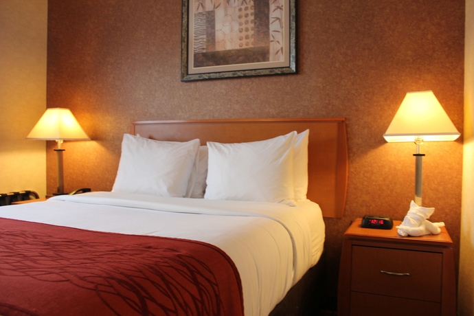 Imagen de la habitación del Hotel Bellerose Inn. Foto 6