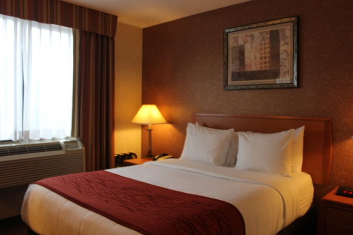 Imagen de la habitación del Hotel Bellerose Inn. Foto 7