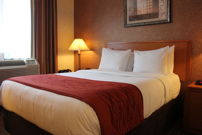 Imagen de la habitación del Hotel Bellerose Inn. Foto 8