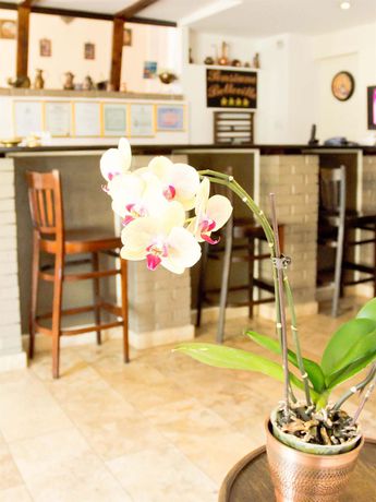 Imagen de la habitación del Hotel Belleville, Iasi. Foto 6