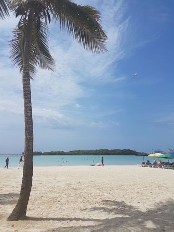 Imagen de los exteriores del Hotel Bellevue Dominican Bay - All Inclusive. Foto 9