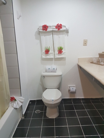 Imagen de la habitación del Hotel Bellevue Dominican Bay - All Inclusive. Foto 8