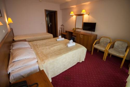 Imagen de la habitación del Hotel Bellevue - Metropol Lake Resort. Foto 2
