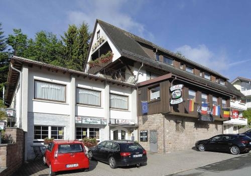 Imagen general del Hotel Bellevue, St. Blasien. Foto 2