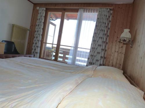 Imagen general del Hotel Bellevue, Thun. Foto 4