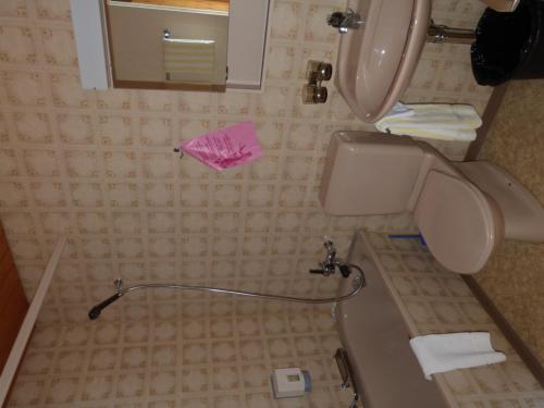 Imagen general del Hotel Bellevue, Thun. Foto 5