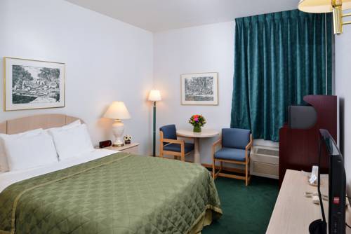 Imagen de la habitación del Hotel Bellis Inn. Foto 2