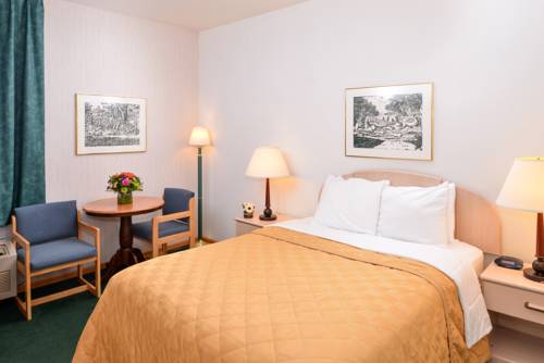 Imagen de la habitación del Hotel Bellis Inn. Foto 9