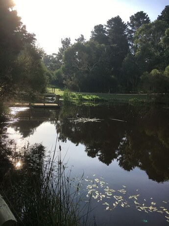 Imagen general del Hotel Bells Estate Great Ocean Road Cottages. Foto 12
