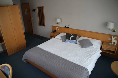 Imagen de la habitación del Hotel Bellwald. Foto 13