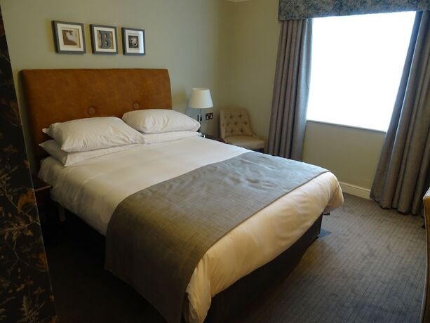 Imagen general del Hotel Belmore. Foto 5