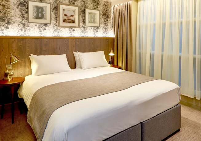 Imagen de la habitación del Hotel Belmore. Foto 19