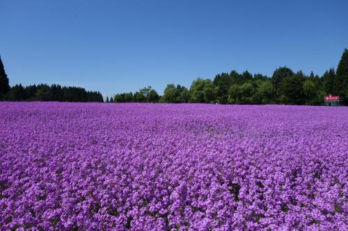 Imagen general del Hotel Belnatio. Foto 6