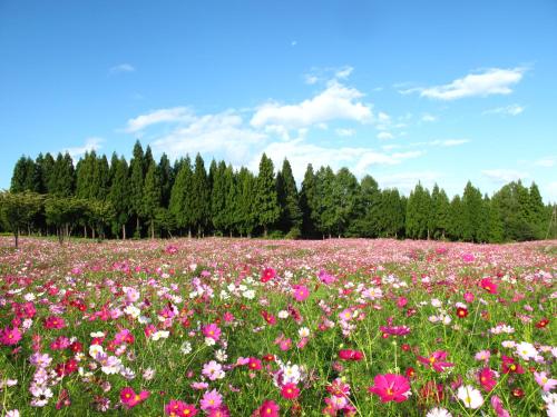 Imagen general del Hotel Belnatio. Foto 7