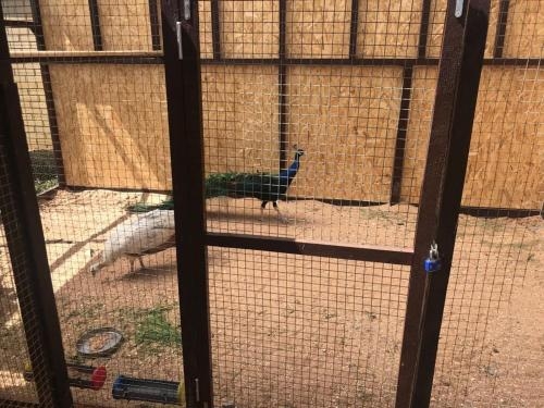 Imagen general del Hotel Belveder, Peresyp. Foto 2