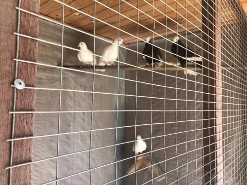 Imagen general del Hotel Belveder, Peresyp. Foto 3