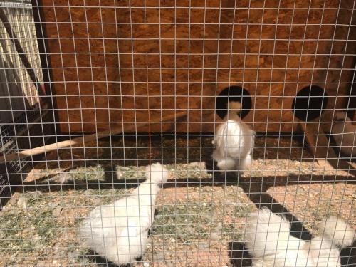 Imagen general del Hotel Belveder, Peresyp. Foto 4