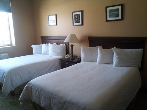 Imagen de la habitación del Hotel Belvedere Inn. Foto 11