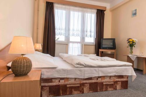 Imagen general del Hotel Belvedere Př&iacute;bram. Foto 5