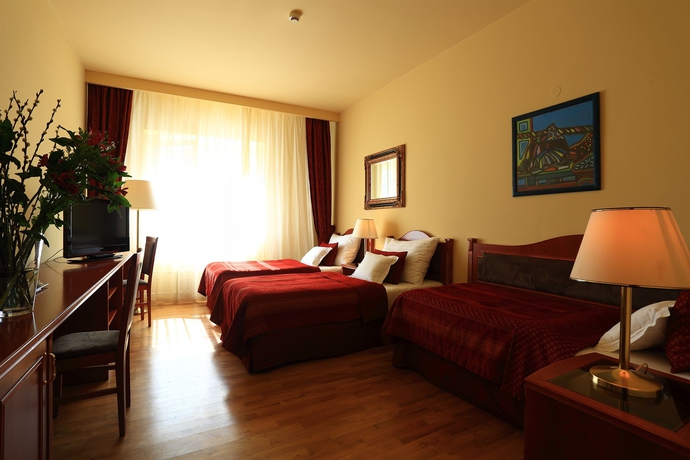 Imagen de la habitación del Hotel Belvedere, Praga. Foto 11