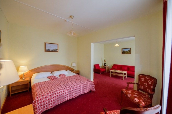 Imagen de los interiores del Hotel Belvedere Predeal. Foto 13